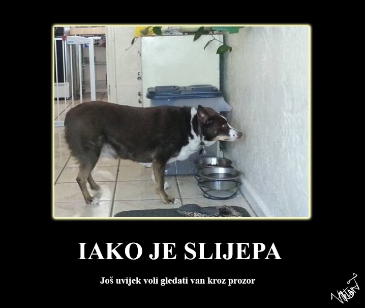 Kada ti život servira limune