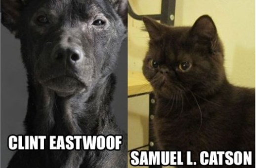 Glumci kao životinje