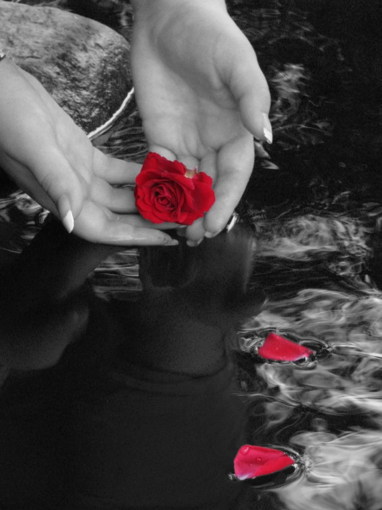 MEA CULPA (Moj grijeh)