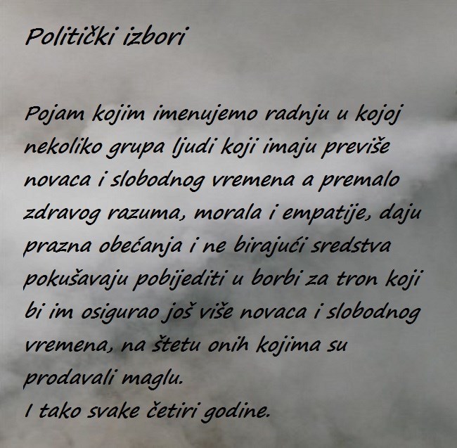 Politički izbori
