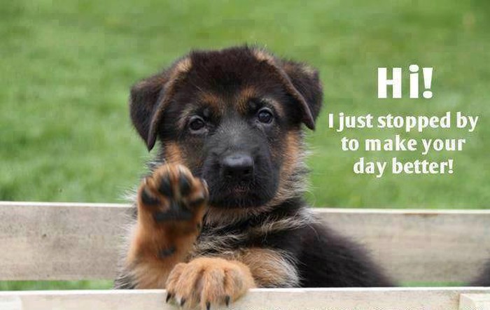 Hi !!!
