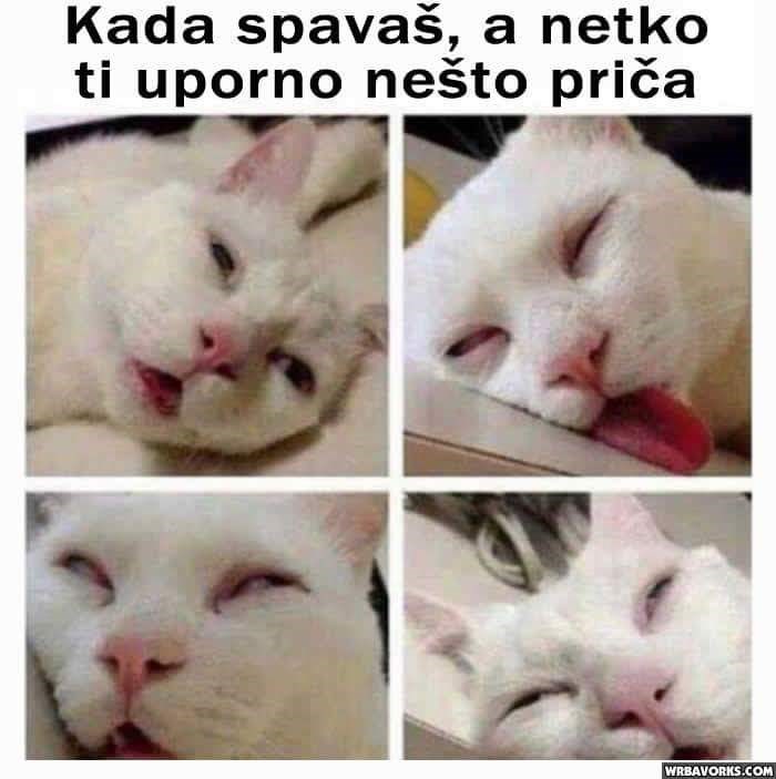 Kada spavaš, a netko te stalno nešto ispituje