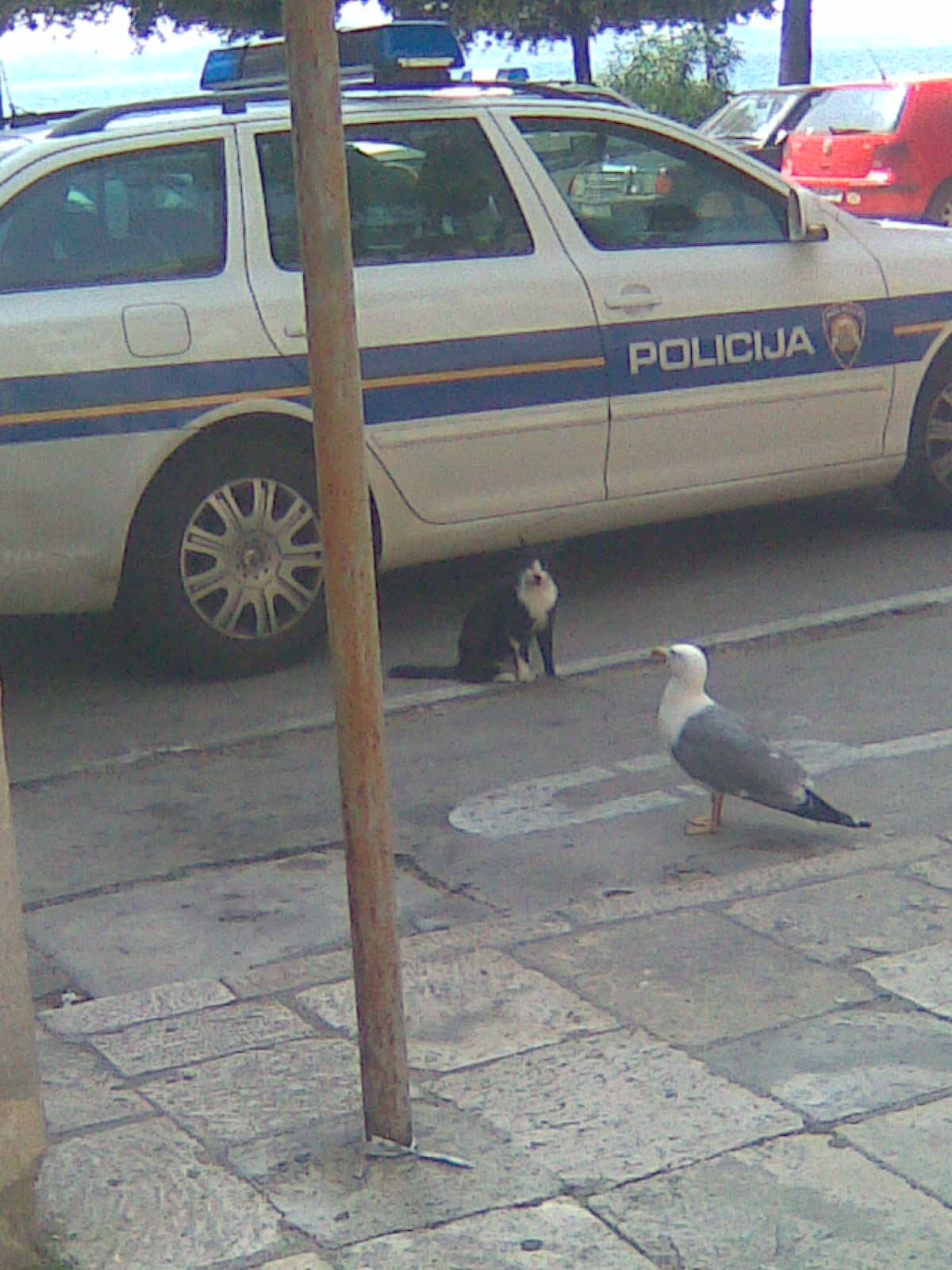 samo da nema policije .....