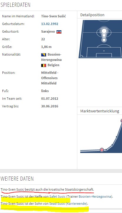 NEBITNO:... Familija "Podvucena Zutom"