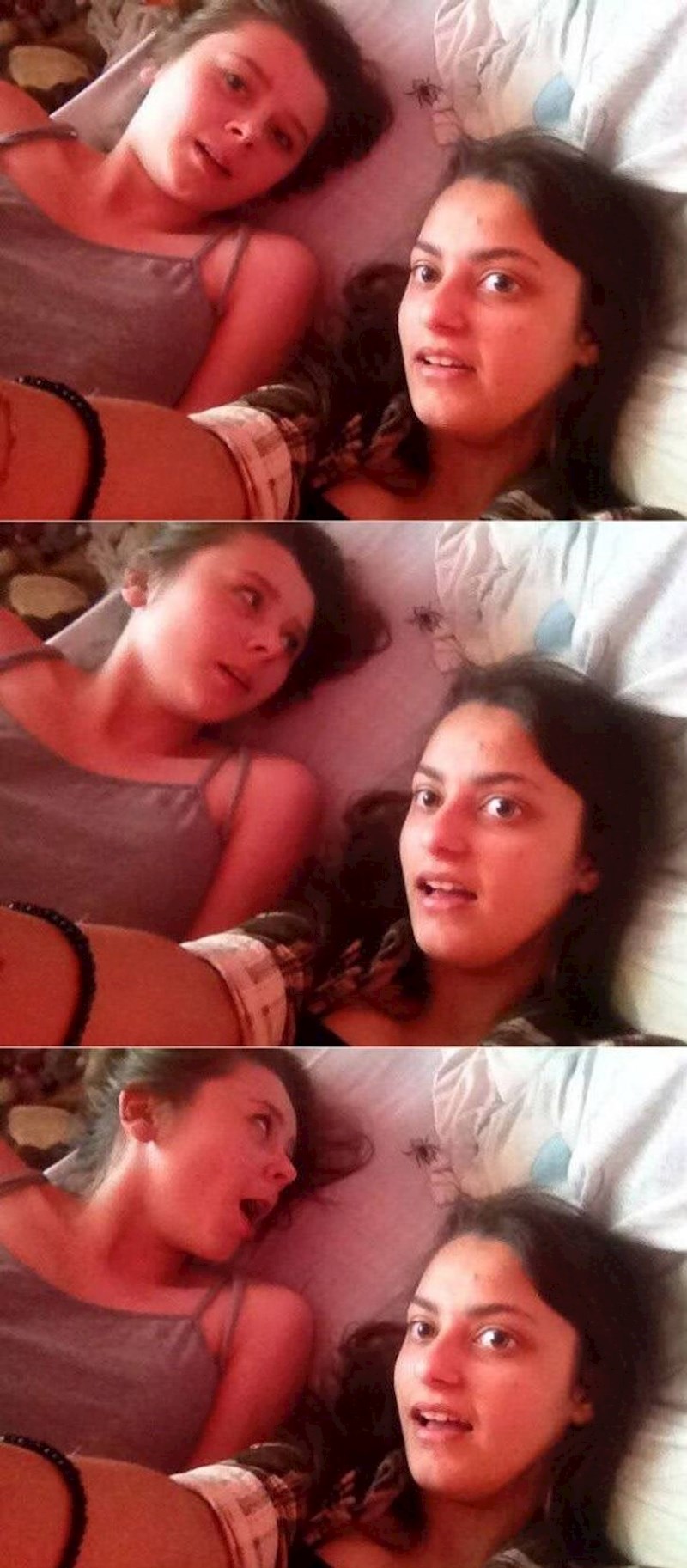 4. Kao scena iz neke komedije 😂