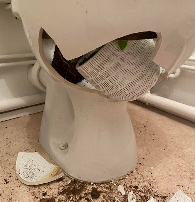 9. Ženu je probudila buka u kupaonici. Kad je otišla pogledati što se dogodilo, vidjela je rezultat igranja svoje nestašne mačke