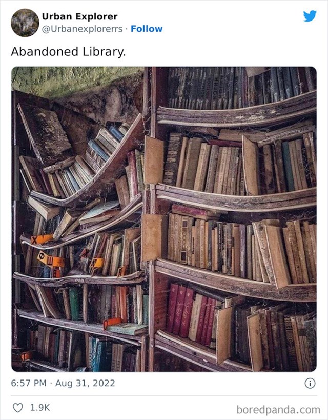 24. Napuštena knjižnica