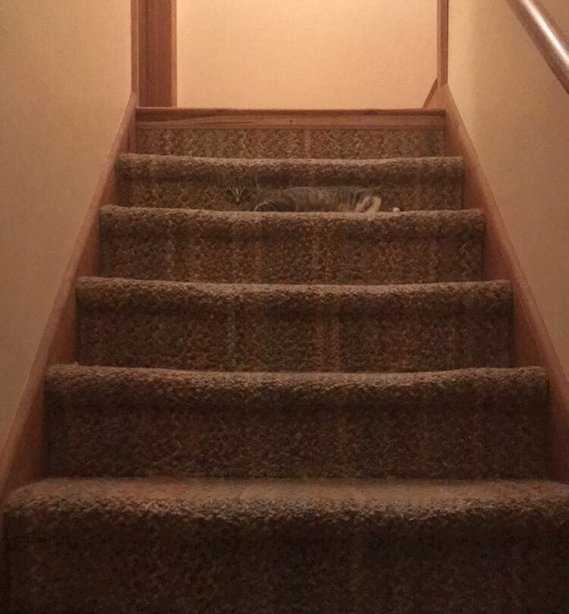 10. E, ovo je već bolje! 😃