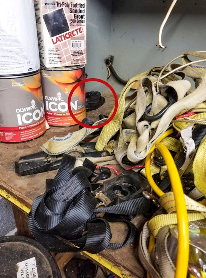 2. Evo gdje se sakrila