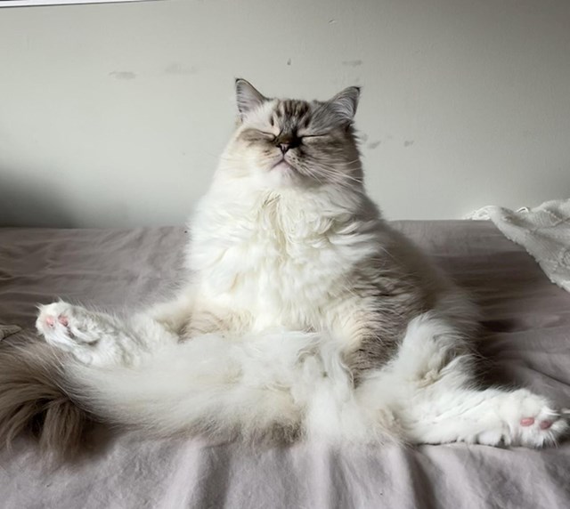 11. A može i malo meditiranja 😂