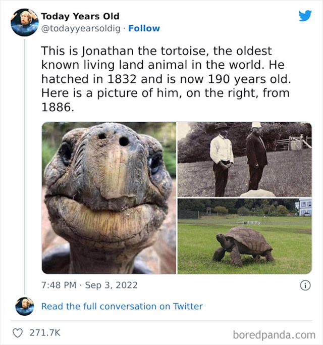 8. Ovo je kornjača Jonathan, ima 190 godina i najstarija je životinja na svijetu