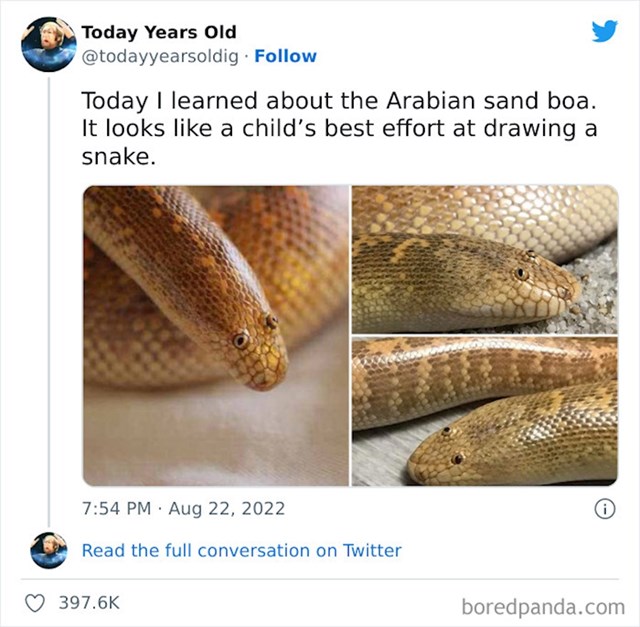 4. Podsjeća li i vas ova zmija zbog očiju na dječji crtež?