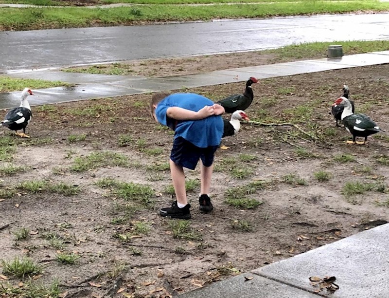 5. "Moj se sin htio igrati s guskama. Ovako im se naklonio dok im je prišao" 😂