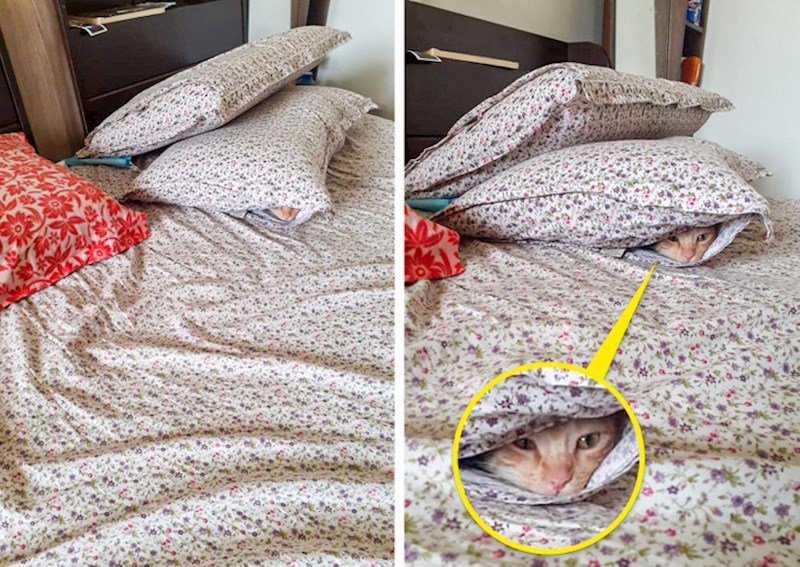 9. Reći ćemo da je i ovo skrivanje bilo uspješno 😃