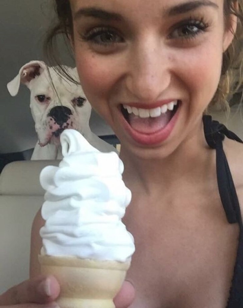 17. Daj taj sladalod!