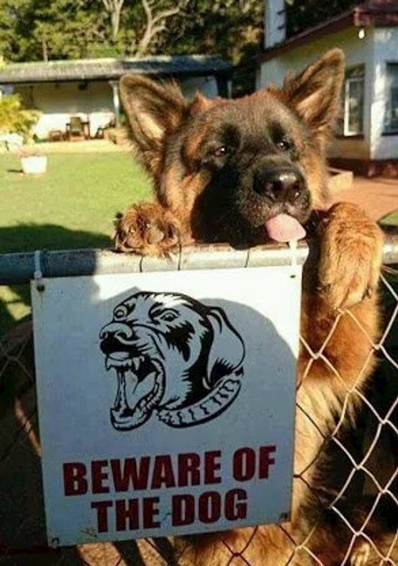 3. Kakav "opasan" pas