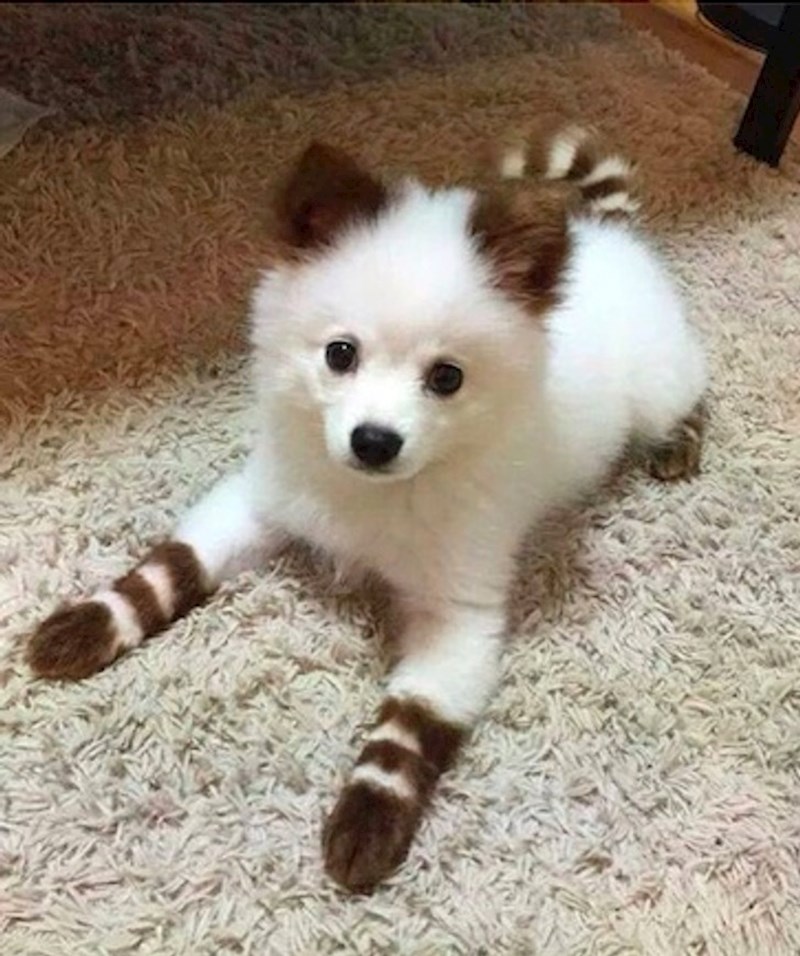 2. Presladak je s tim prugama 😍