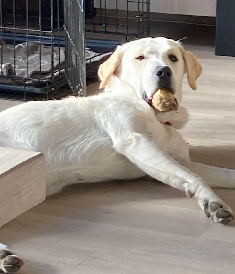 6. Baš je smiješan! 😂