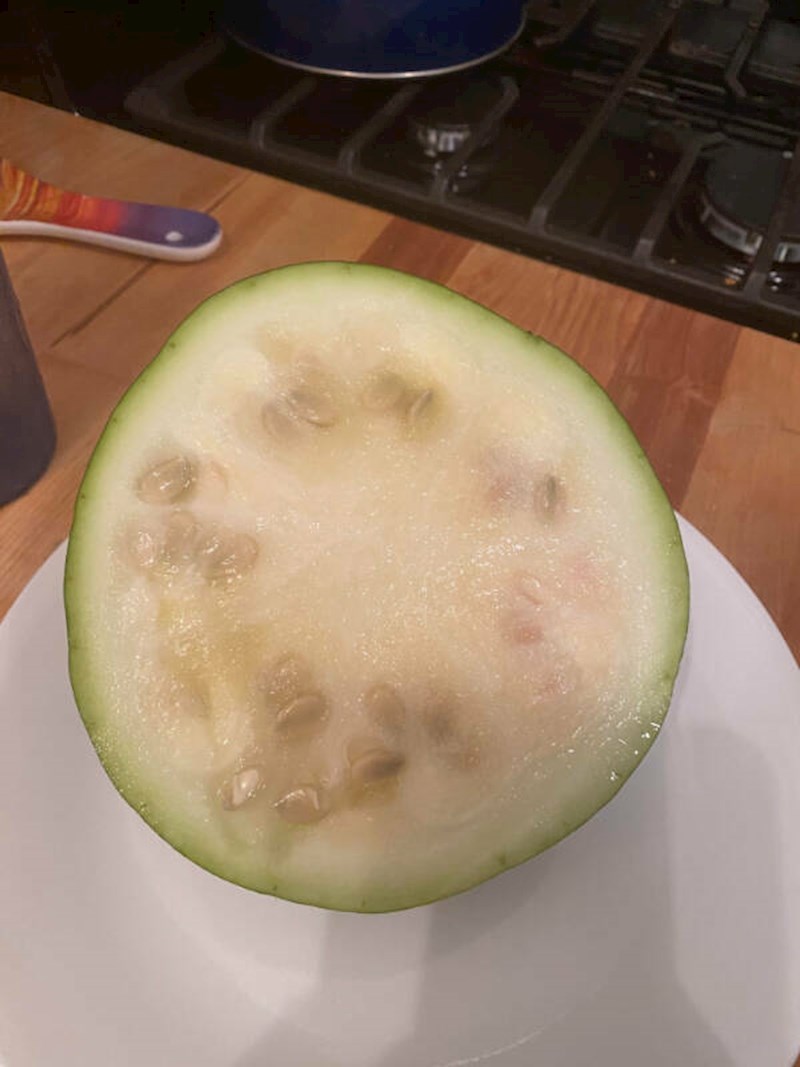 20. Čovjek je cijelo ljeto uzgajao lubenicu da bi na kraju rezultat ispao potpuno suprotno od očekivanja