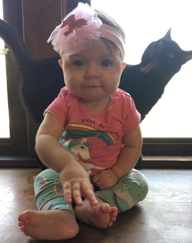 16. Što reći osim - život s mačkama 😂