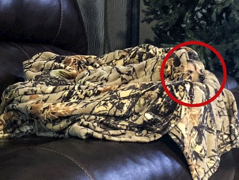 16. Ni ova nije bila tako teška ako ste se dobro koncentrirali