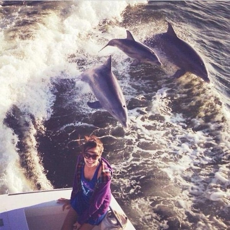 2. Taman kad se krenula slikati na površinu su izašli dupini i tako je nastala ova predobra fotografija