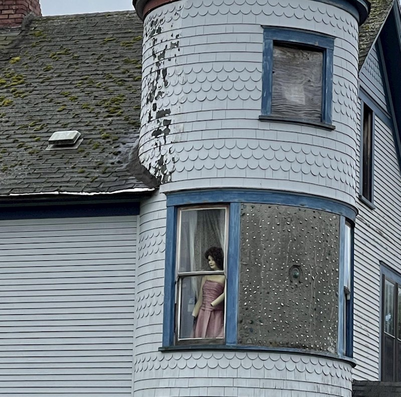 11. Ovaj susjed ima baš bizaran smisao za humor