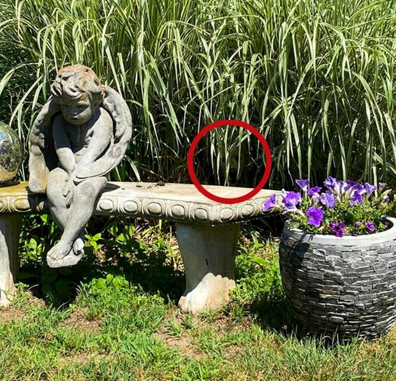 24. Sad kad znamo gdje je, nije nam jasno kako ga nismo odmah uočili