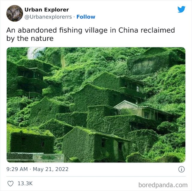 28. Napušteno ribarsko selo u Kini, pogledajte kako je zelenilo prekrilo kuće