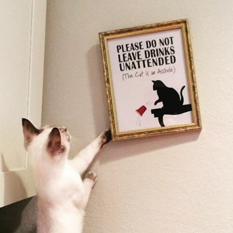 14. Ako makne znak nitko neće znati što smjera