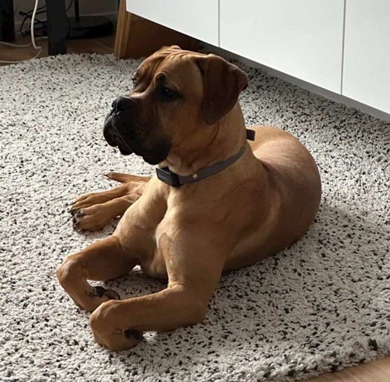 7. Namjestio se za fotku