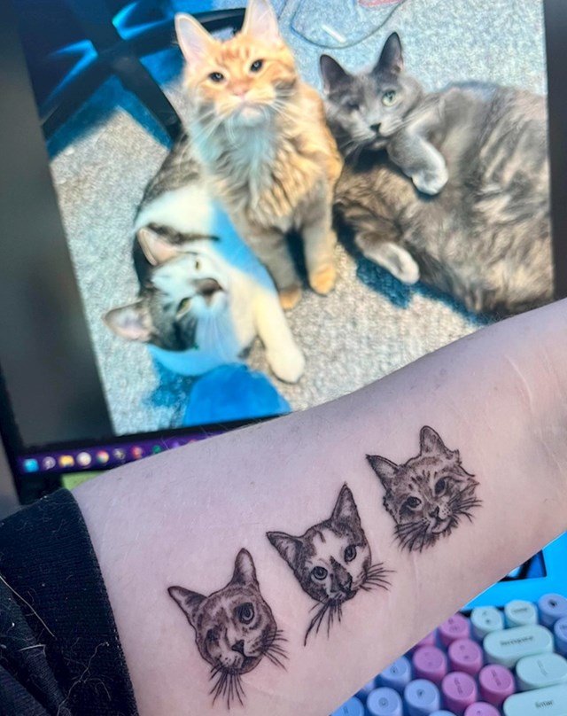 Žena je odlučila tetovirati glave svoje tri mačke. Baš slatko!