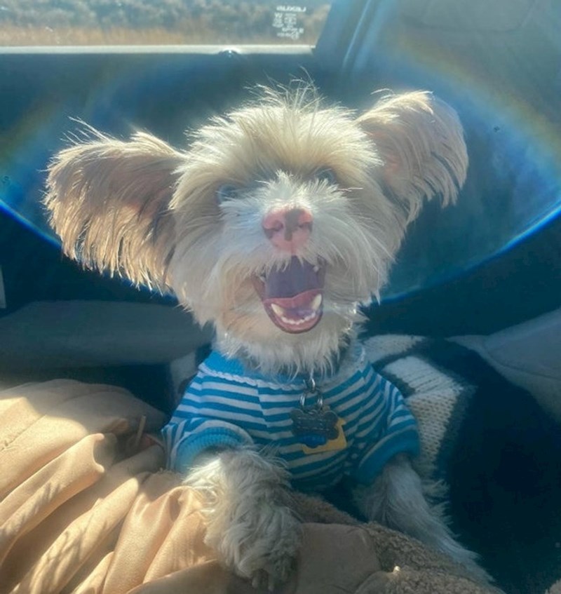 Na putu u zauvijek dom 🥰