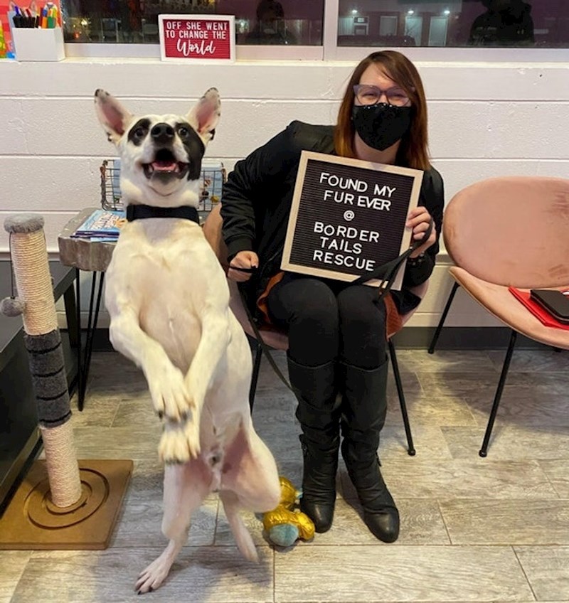 Čini se da je zadovoljan novom vlasnicom ❤️