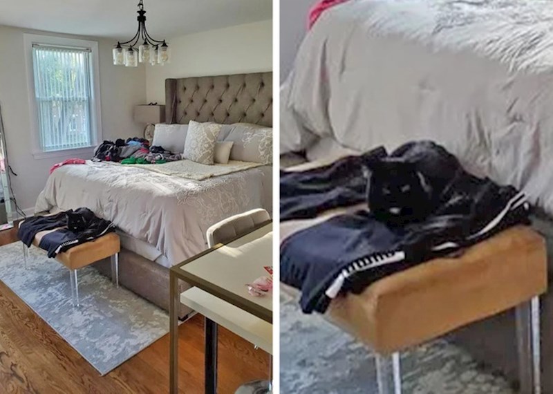 10. Dobro, ovo nije tako dobra kamuflaža, ali prihvaćamo pokušaj