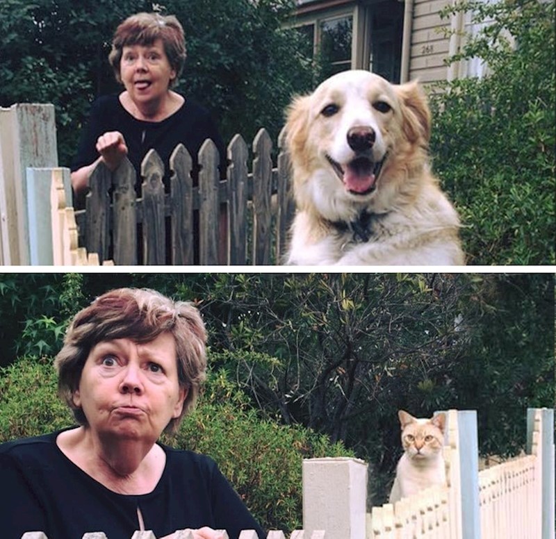 7. "Moja susjeda pozira s mojim ljubimcima" 😃