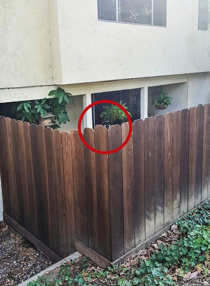 18. Nadzire susjedstvo!