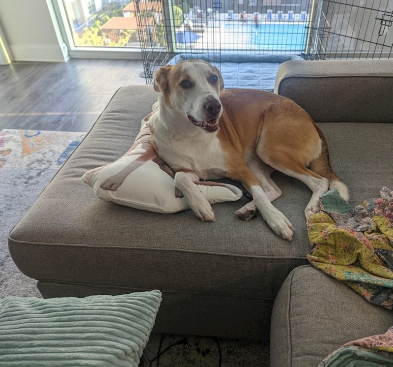 14. Pas s pet nogu?!