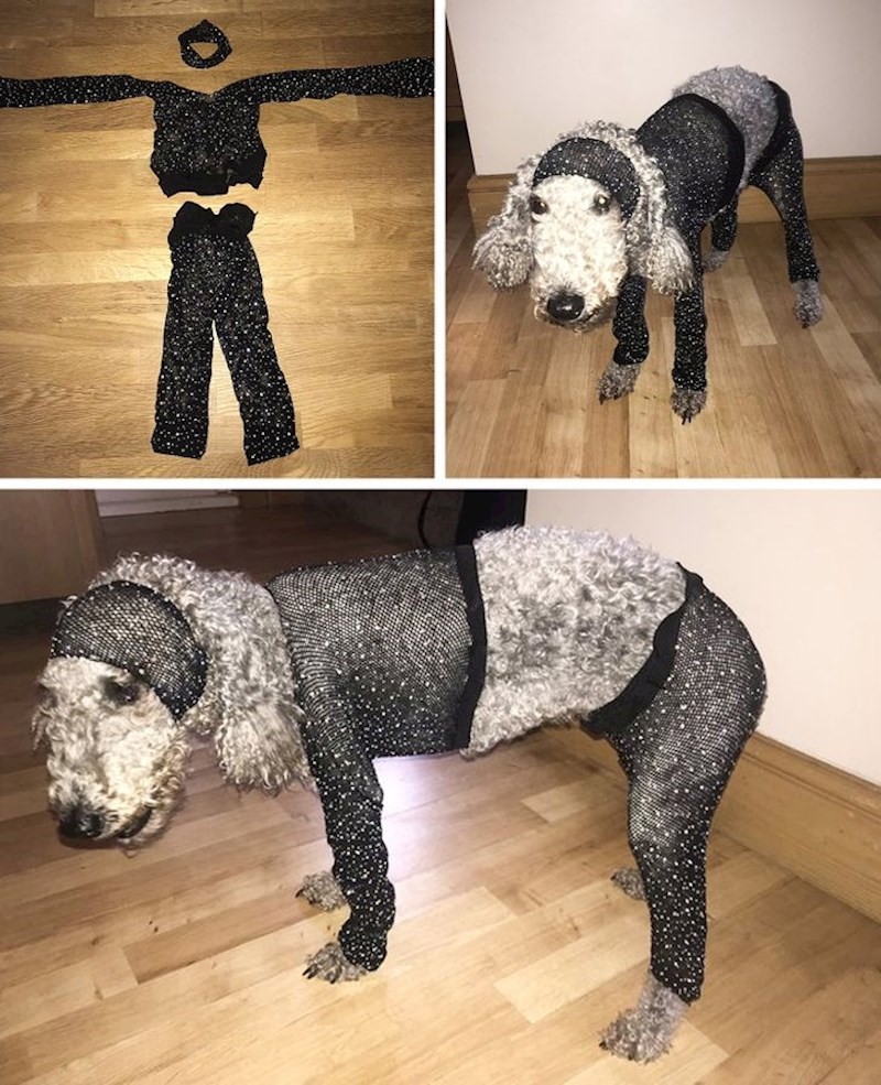 4. Kupila je kostim za sebe, a jedva stane na njezinog psa... 😂