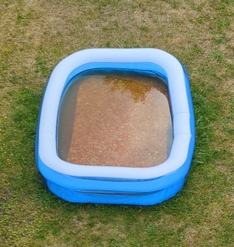 4. Žena je zamolila svoje susjede da počiste vodu u bazenu u kojem su se počeli razmnožavati komarci. Rekli su da to ne planiraju učiniti jer im se gadi dirati tu vodu