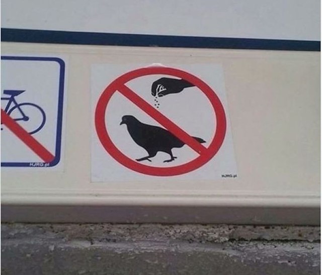 1. Kako protumačiti ovaj znak nego "nemojte bacati sol po golubovima"? 😂