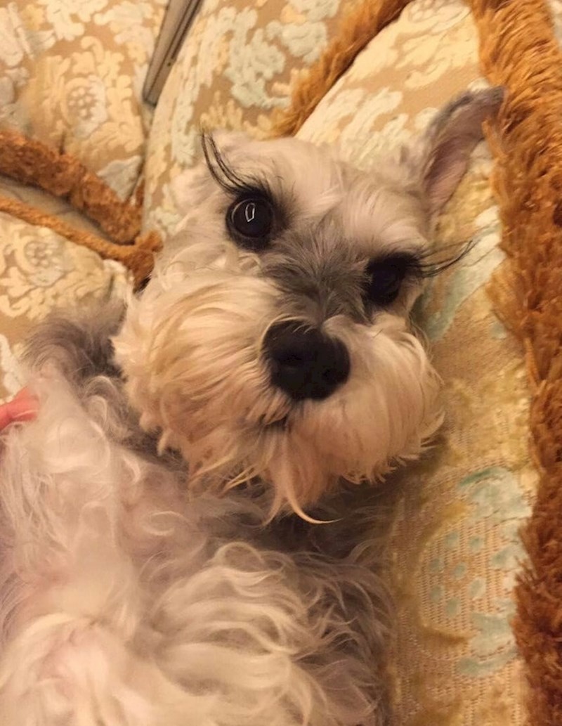 9. Kakve dugačke trepavice!