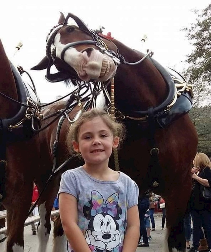 13. Odlična fotka! 😃