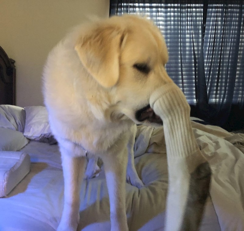 11. Tako mu i treba kad stavlja smrdljive čarape na nos 😅