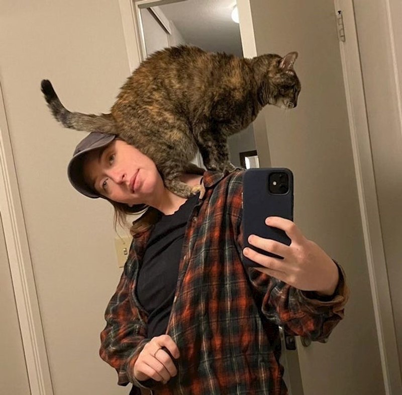 12. Mačke su baš čudna stvorenja