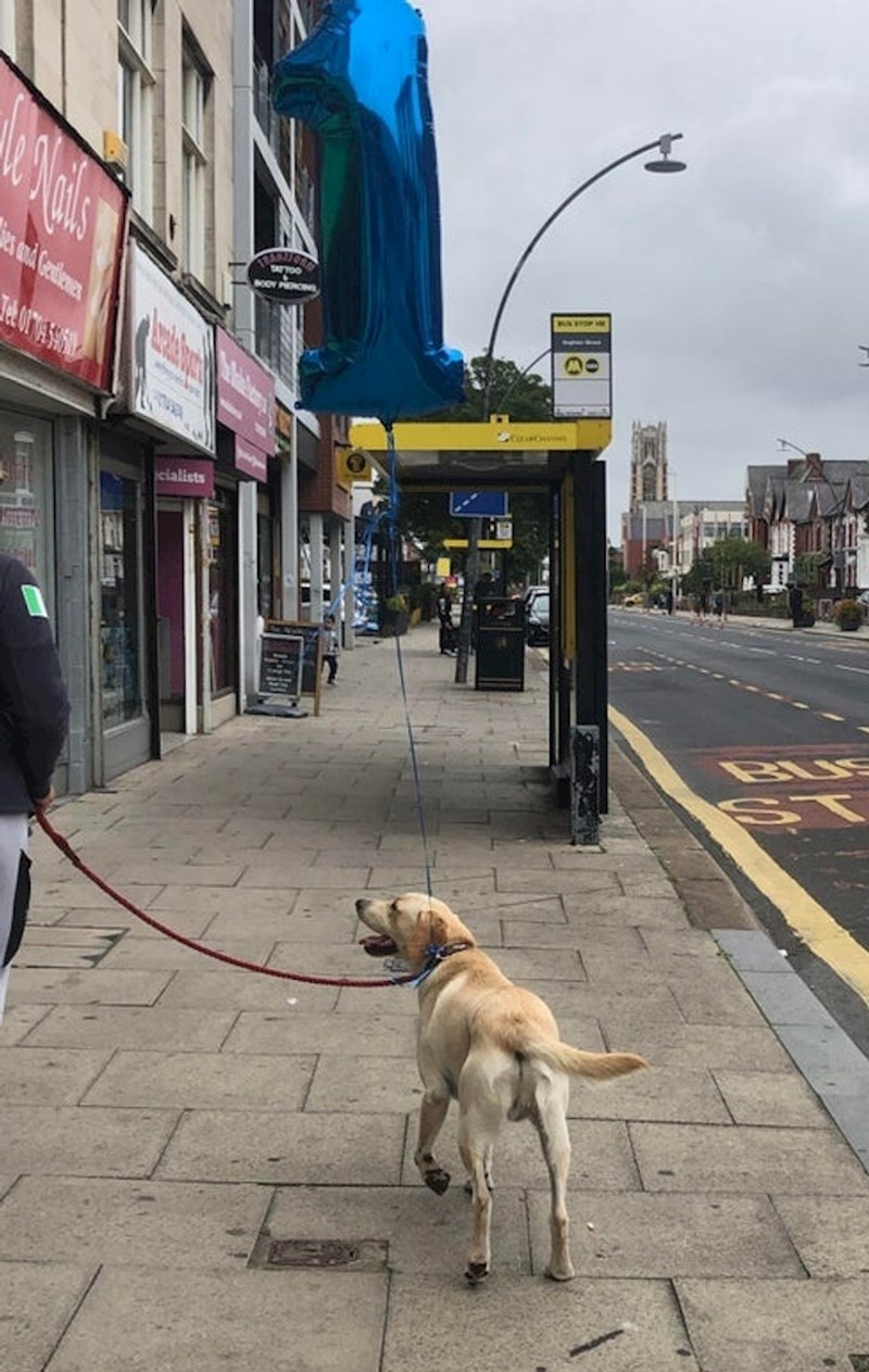 Čini se da je netko sretan zbog rođendana 🥰