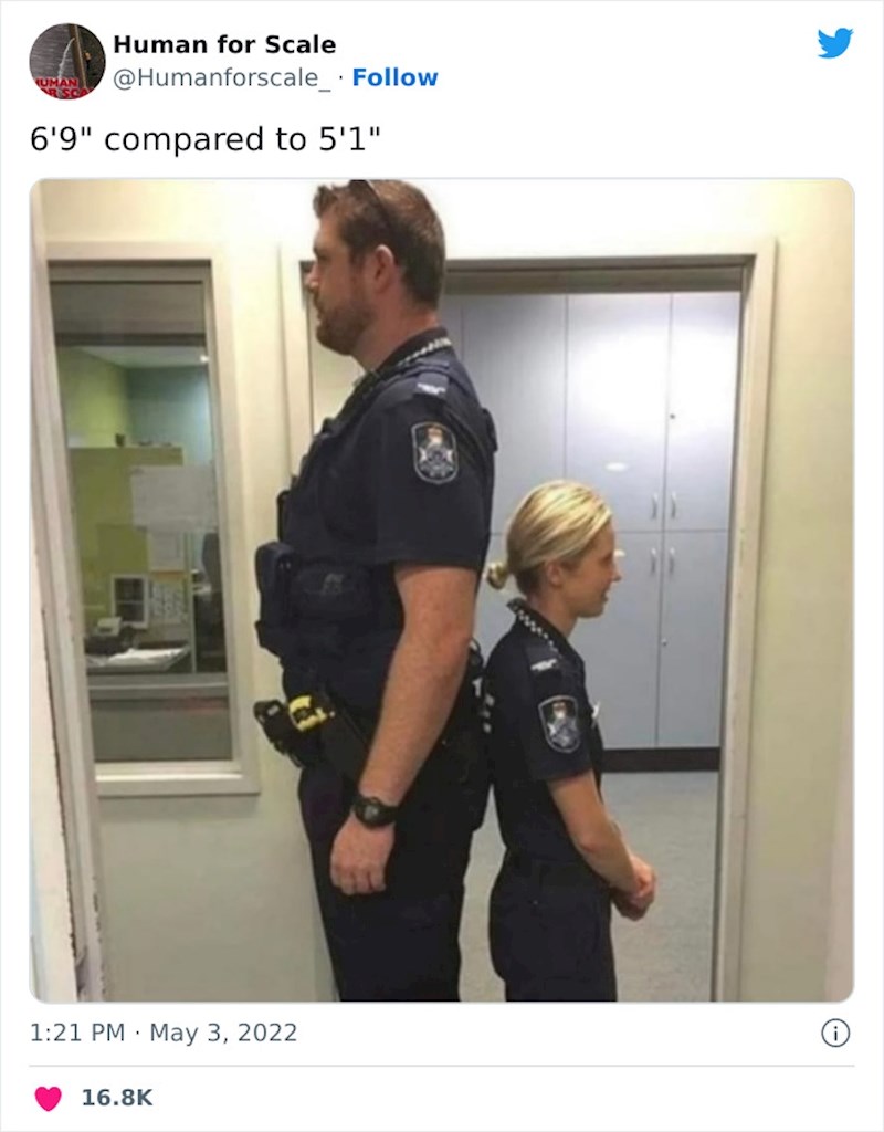 5. Rade zajedno 😅