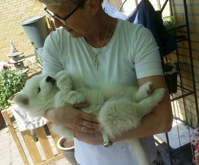 Ova žena je poslala kćeri poruku da opet ima nekoga o kome može brinuti sada kad ne žive zajedno, a onda joj je poslala ovu sliku