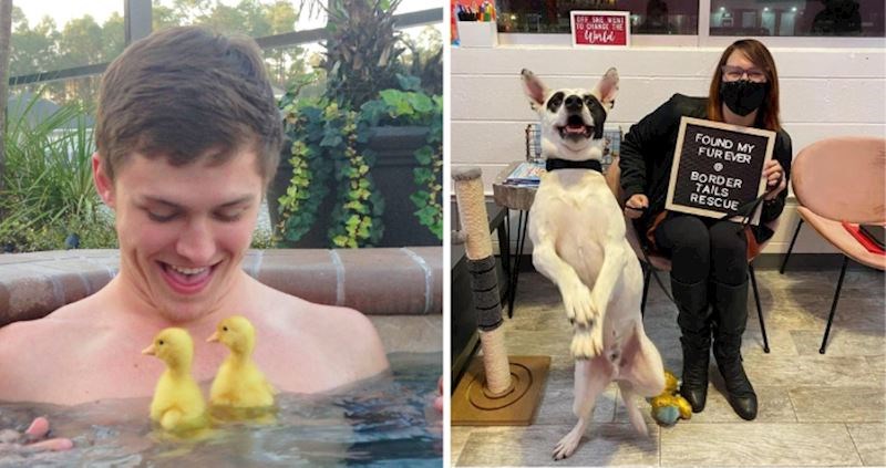 17 preslatkih fotografija koje potpuno zrače pozitivom, pogledajte ih za dozu dnevne sreće