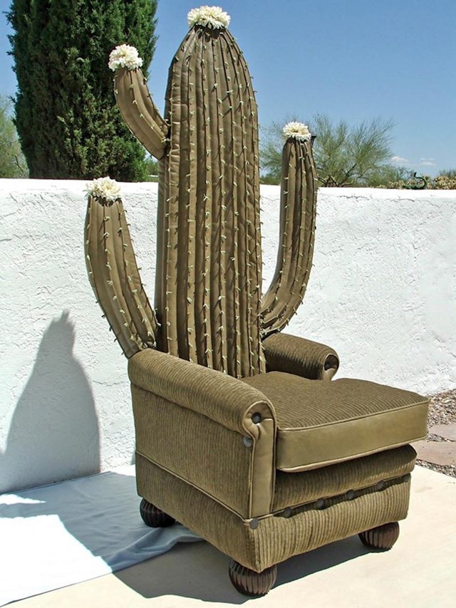 11. Kaktus fotelja, za tako nešto treba imati baš poseban ukus